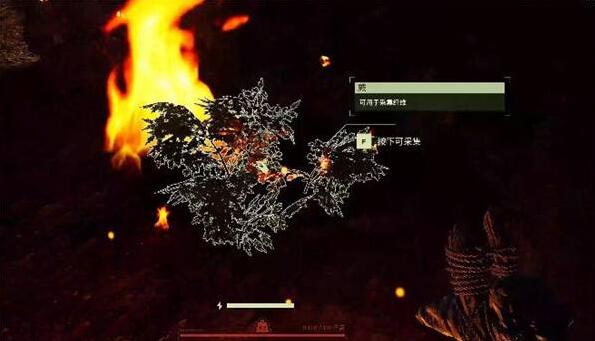 翼星求生如何获得木炭？翼星求生木炭获得方法
