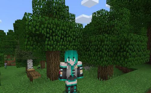 mcskin3d怎么导入皮肤?我的世界导入皮肤的方法步骤