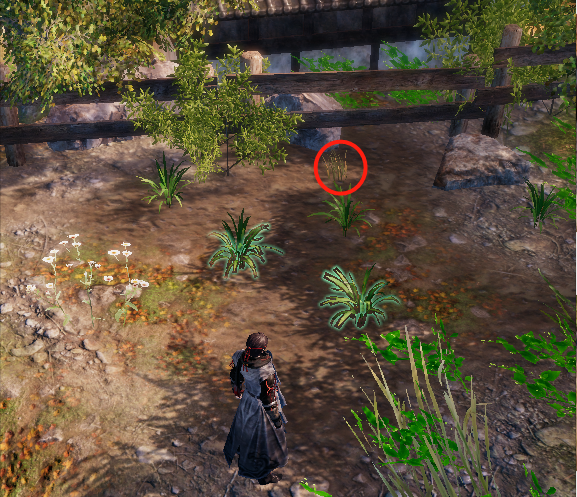 天命奇御2虹桥支线任务怎么做？天命奇御2虹桥支线任务玩法攻略