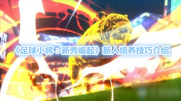 我来教你足球小将新秀崛起怎么培养角色。 