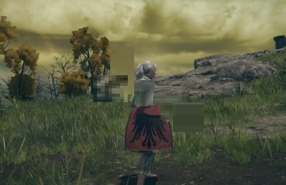 艾尔登法环逆鹰纹熨斗形盾在哪刷?艾尔登法环逆鹰纹熨斗形盾位置介绍