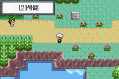 《口袋妖怪蛇纹木》破碎之心获取分享