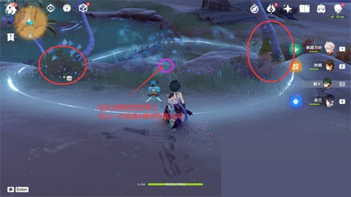 原神柽木怎么快速收集？原神柽木快速收集路线图一览