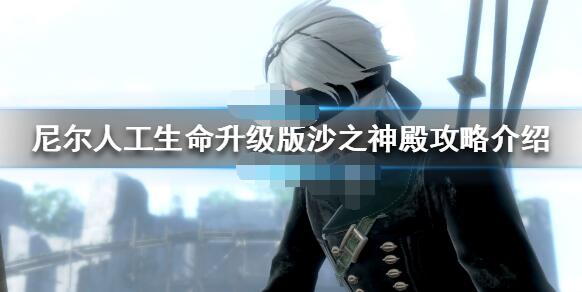 说说尼尔人工生命升级版沙之神殿怎么通关。 