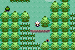 分享《口袋妖怪蛇纹木》破碎之心获取分享。 