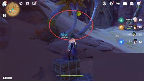 原神柽木怎么快速收集？原神柽木快速收集路线图一览