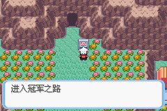 《口袋妖怪蛇纹木》破碎之心获取分享