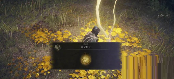 小编分享艾尔登法环流浪骑士开始带什么遗物。 