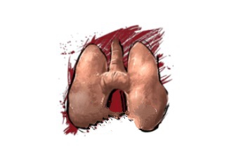 方舟生存进化手机版异常的解决步骤