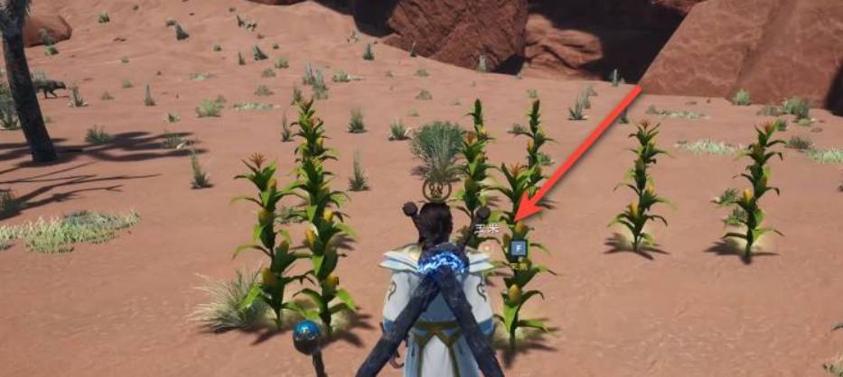 太荒初境玉米在哪里?太荒初境玉米位置介绍