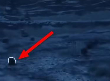 霍格沃茨之遗蒲绒绒在哪？霍格沃茨之遗找到蒲绒绒的详细攻略