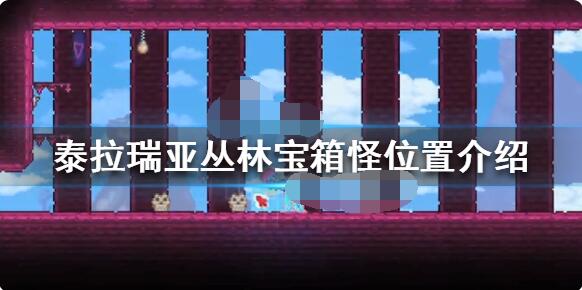 泰拉瑞亚丛林宝箱怪在哪生成？泰拉瑞亚丛林宝箱怪生成位置