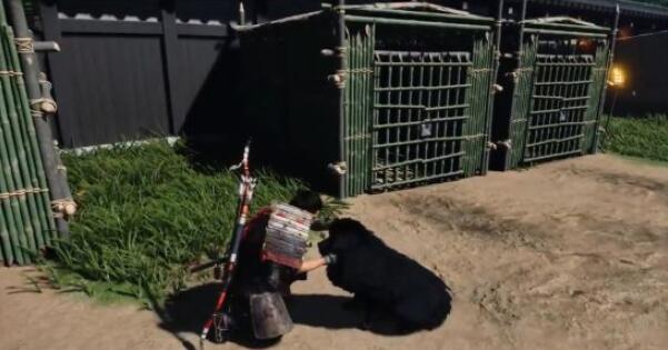 分享对马岛之魂怎么撸狗招募为伙伴。 