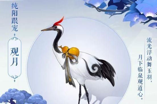 剑网3指尖江湖门派宠物与跟宠选择对比解析