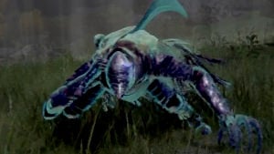 艾尔登法环boss分布在哪里？艾尔登法环所有boss分布位置介绍