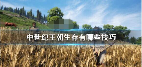 今天分享中世纪王朝生存技能有哪些。 