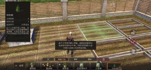 明日之后圣诞老人与冷杉树位置分享