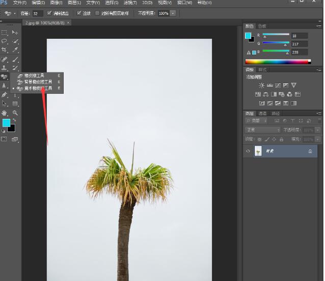PS魔术橡皮檫工具去除图片背景的方法