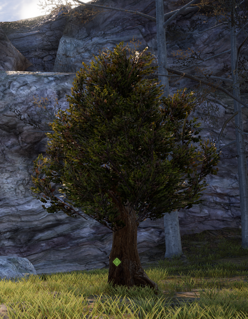 神佑释放物品采集指南 神佑释放物品怎么采集？