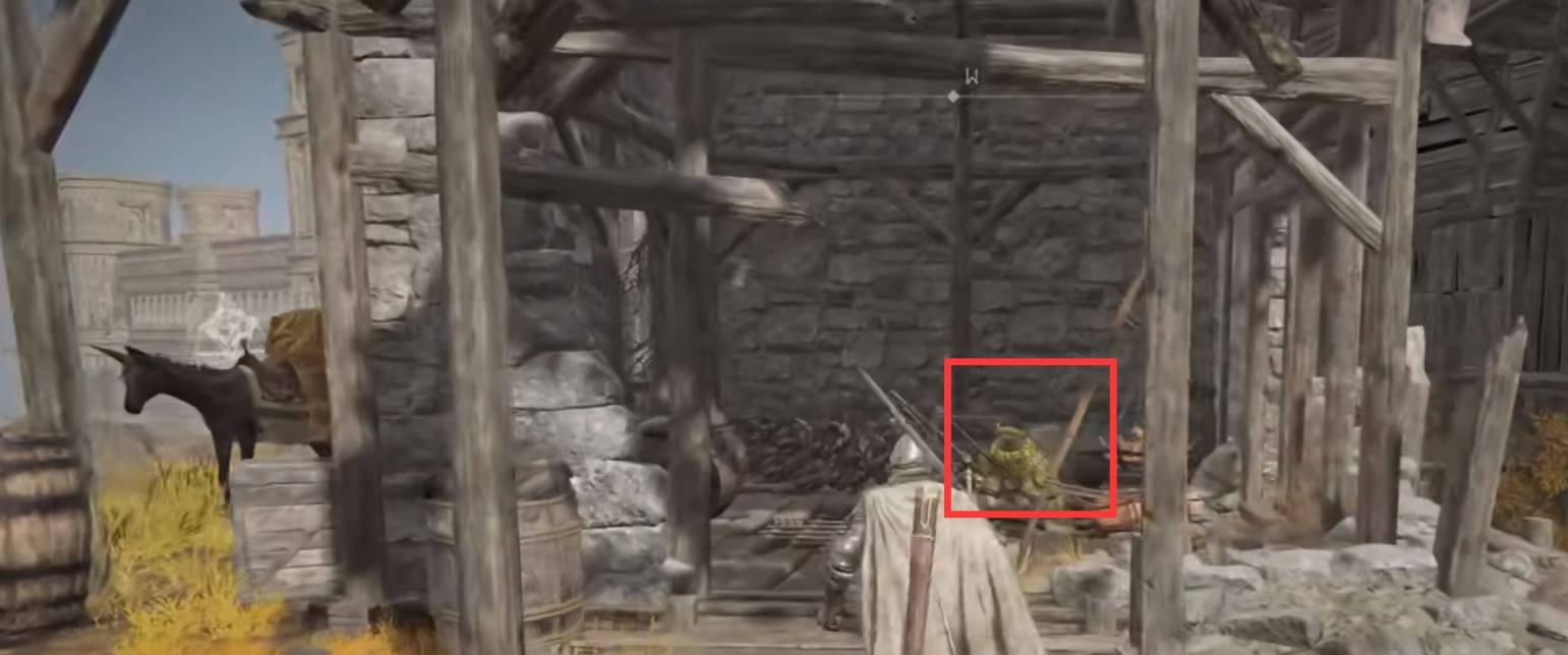 艾尔登法环哨兵火把在哪里?艾尔登法环哨兵火把位置介绍