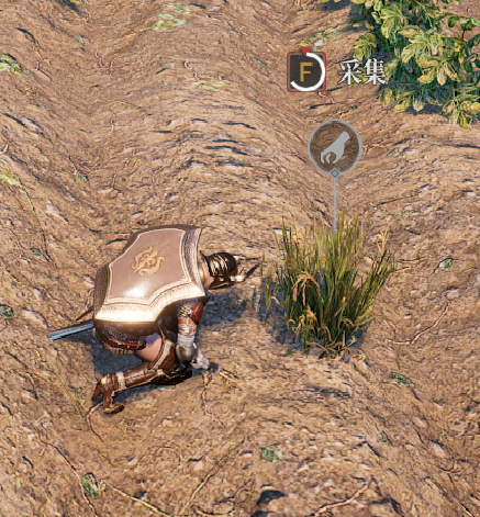 小编教你神佑释放物品采集指南。 