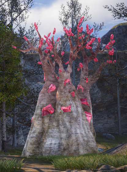 神佑释放物品采集指南 神佑释放物品怎么采集？