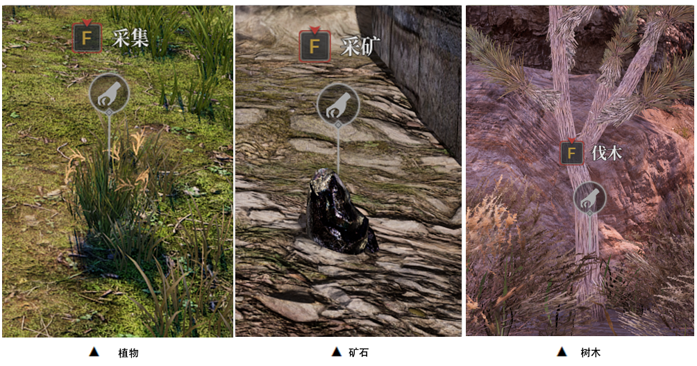 神佑释放物品采集指南 神佑释放物品怎么采集？