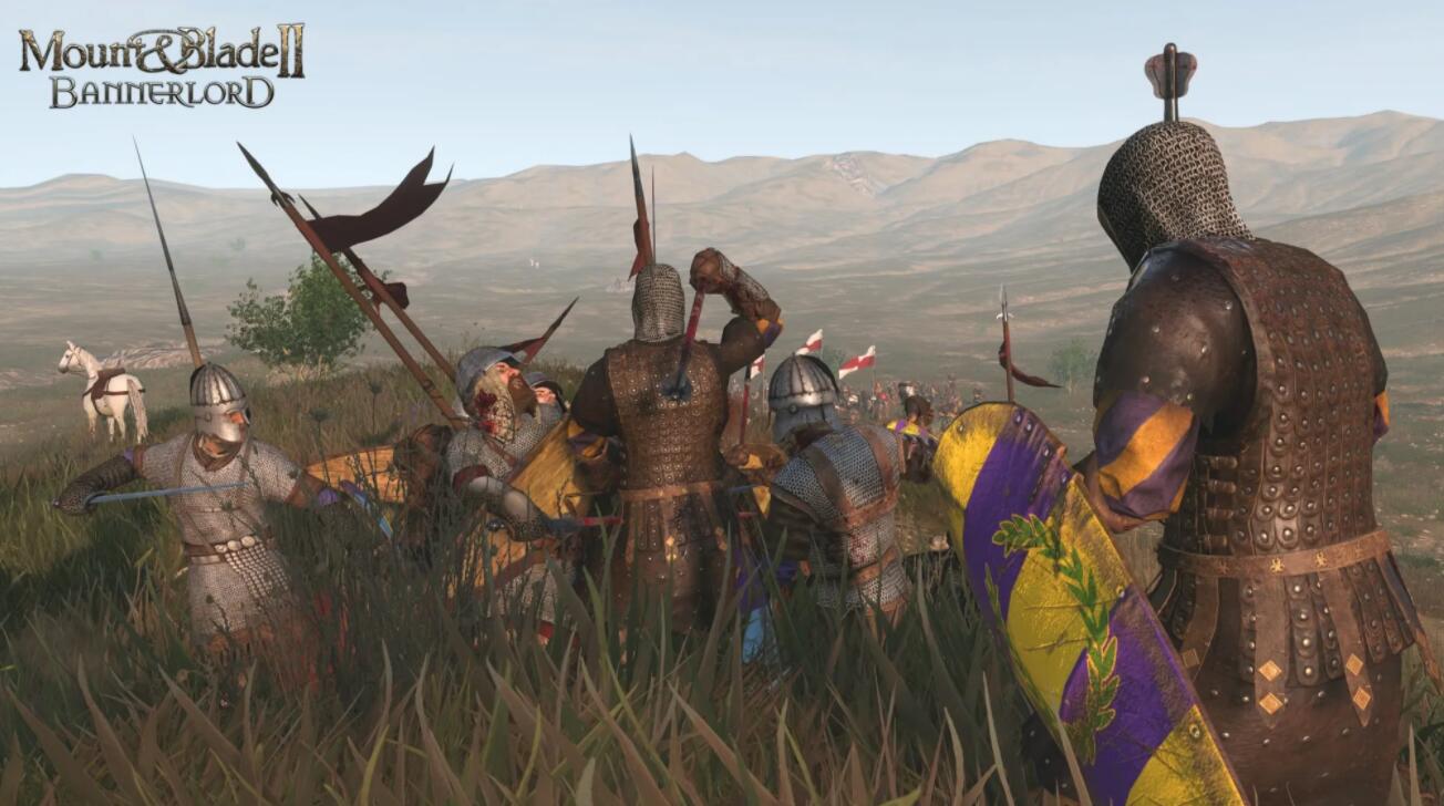 小编分享骑马与砍杀战团四猛将怎么搭配。 