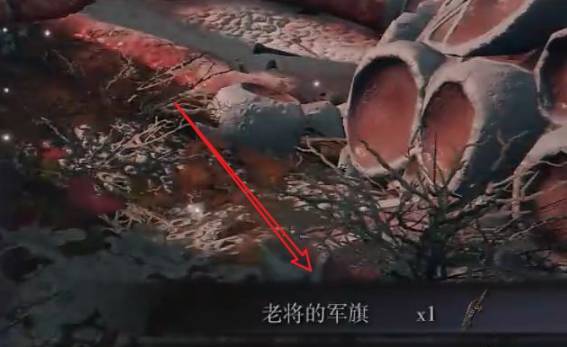 艾尔登法环老将的军旗在哪?艾尔登法环老将的军旗位置介绍