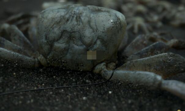 《死亡搁浅》极端份子营地刷新与否介绍