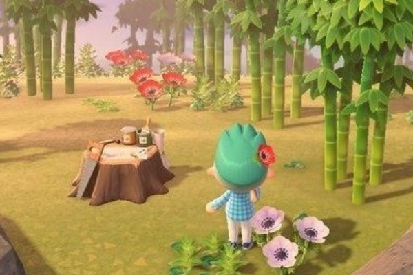 动物之森竹子种植方法