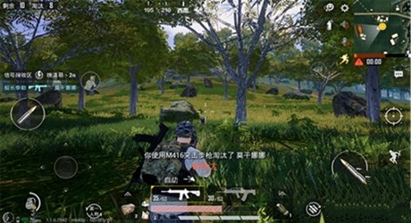 和平精英雨林地图武器选择与打法详解