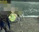 怪物猎人崛起环境生物大全 怪物猎人崛起环境生物有哪些？