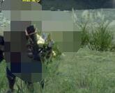 怪物猎人崛起环境生物大全 怪物猎人崛起环境生物有哪些？