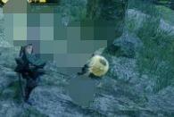 怪物猎人崛起环境生物大全 怪物猎人崛起环境生物有哪些？