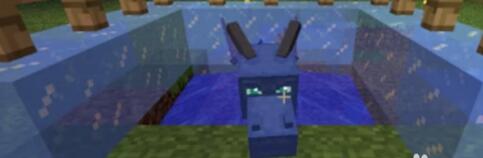 我的世界龙蛋怎么孵化 我的世界各种龙的孵化方式技巧