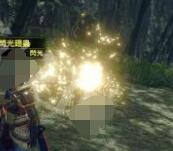 怪物猎人崛起环境生物大全 怪物猎人崛起环境生物有哪些？