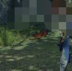 怪物猎人崛起环境生物大全 怪物猎人崛起环境生物有哪些？