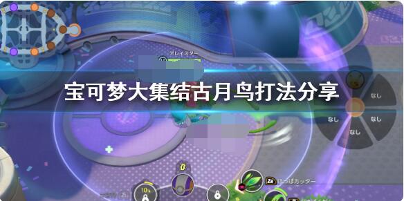宝可梦大集结古月鸟怎么样？宝可梦大集结古月鸟玩法介绍