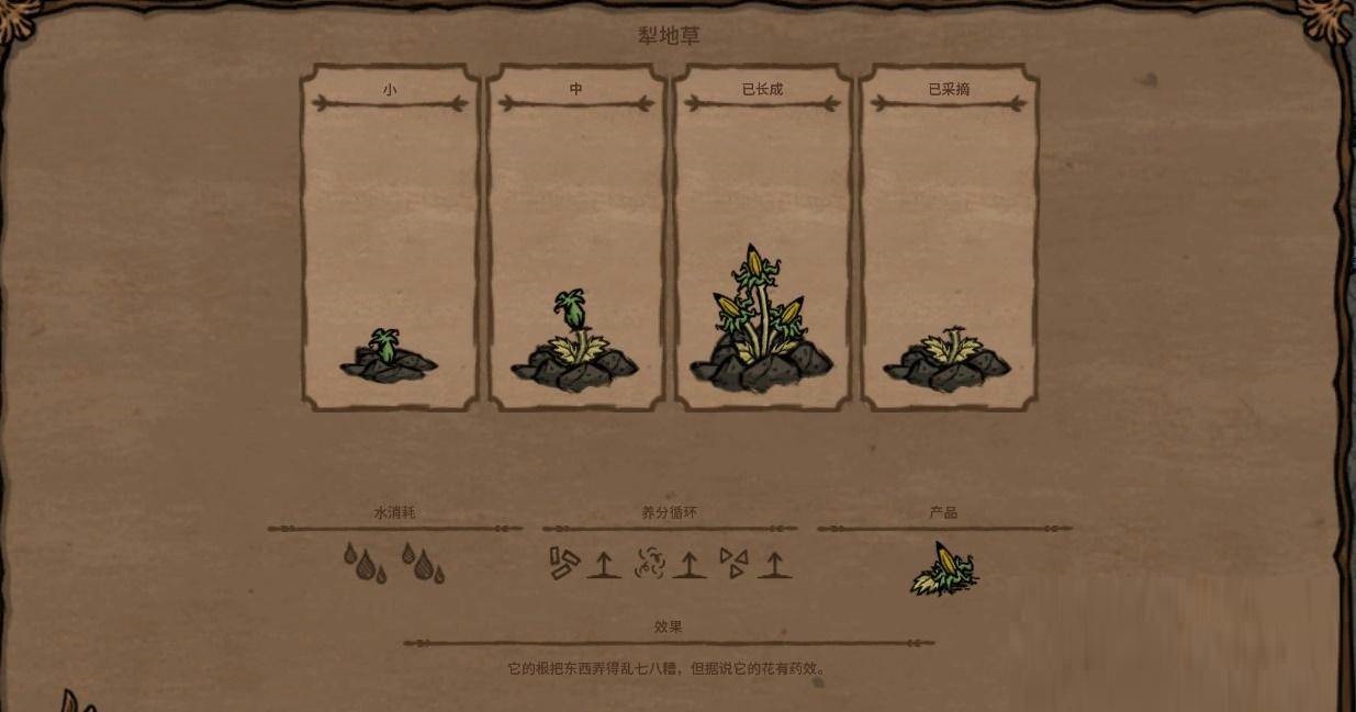 饥荒犁地草有什么用?饥荒犁地草作用介绍