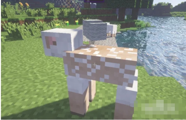 我的世界怎么剪羊毛-我的世界剪羊毛攻略