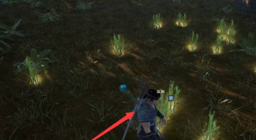 太荒初境亚麻在哪里?太荒初境亚麻位置一览