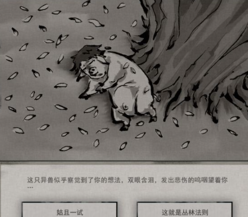 鬼谷八荒狌狌奇遇任务怎么完成？鬼谷八荒狌狌奇遇任务完成攻略