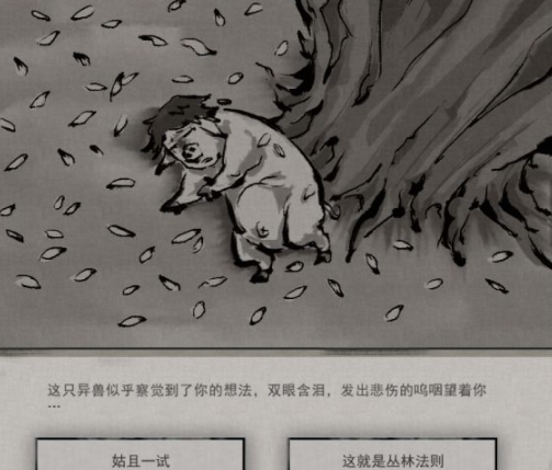 鬼谷八荒狌狌奇遇任务怎么完成？鬼谷八荒狌狌奇遇任务完成攻略