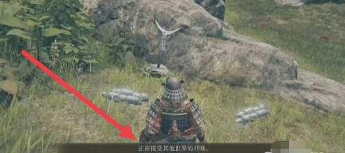 艾尔登法环怎样和好友一起玩？艾尔登法环和好友一起玩的玩法攻略