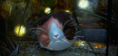 仁王2阴阳术怎么用 仁王2阴阳术使用技巧