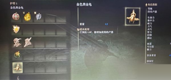 艾尔登法环金色粪金龟护符如何获取？艾尔登法环金色粪金龟护符获取方法