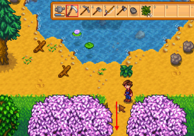 星露谷物语如何捡葱？星露谷物语捡葱的玩法攻略