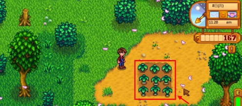 星露谷物语如何捡葱？星露谷物语捡葱的玩法攻略