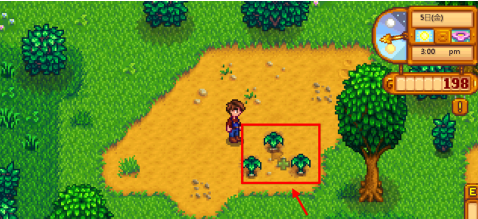 星露谷物语如何捡葱？星露谷物语捡葱的玩法攻略